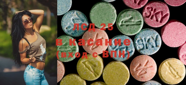 PSILOCYBIN Белокуриха