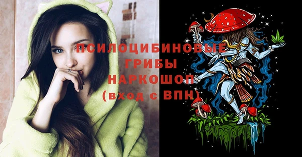 PSILOCYBIN Белокуриха