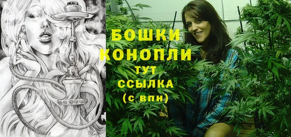 PSILOCYBIN Белокуриха