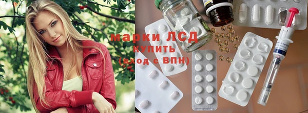 PSILOCYBIN Белокуриха