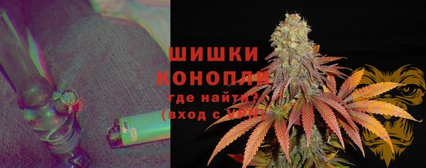 PSILOCYBIN Белокуриха