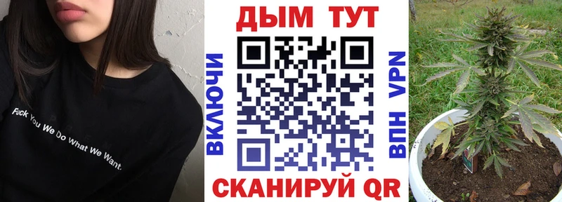 Бошки Шишки планчик  Беломорск 